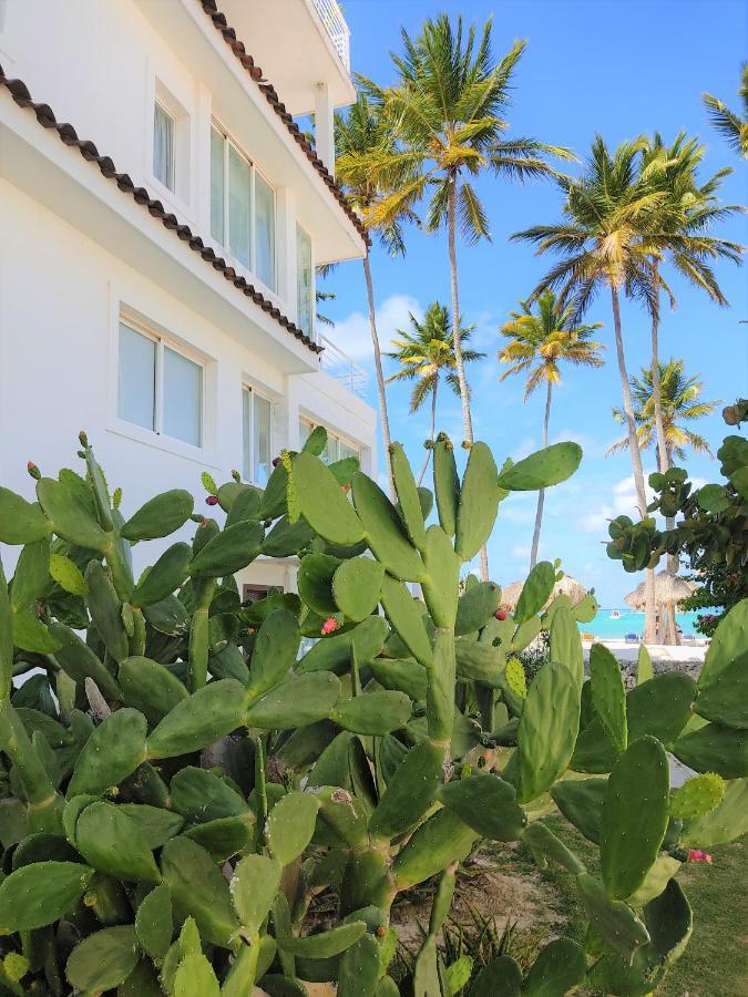 Apartahotel Amma Deluxe Beach Villas&spa - Playa Los Corales